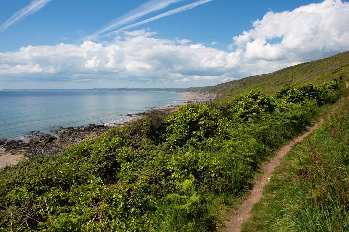 Exploring the coast path is a must -  tracks lead from the path down to the beach below.