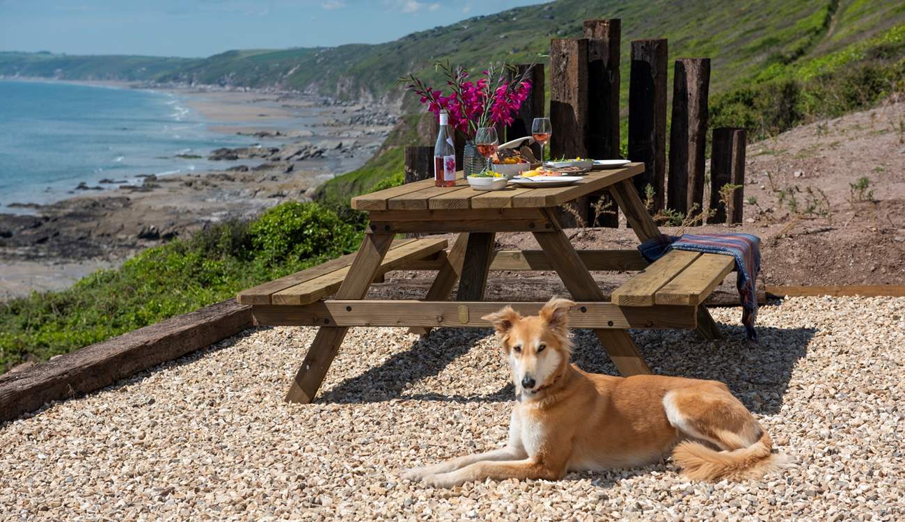 Your four-legged friend is more than welcome to join you here.