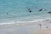 The beach never gets busy, so you can enjoy it as you wish.