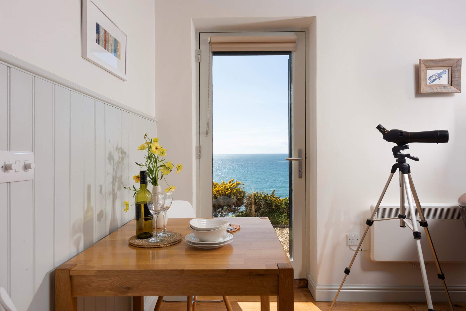 Will you spot any dolphins or porpoises?