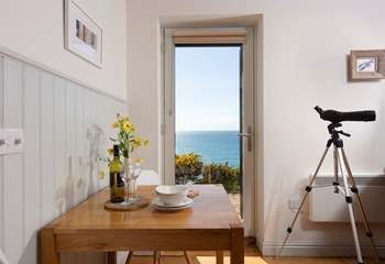 Will you spot any dolphins or porpoises?