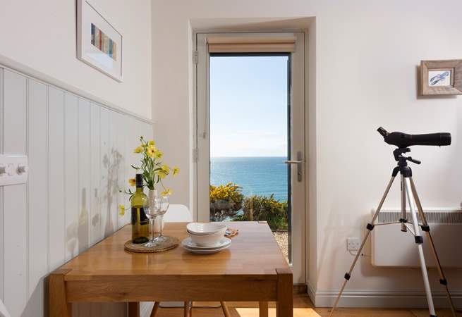 Will you spot any dolphins or porpoises?