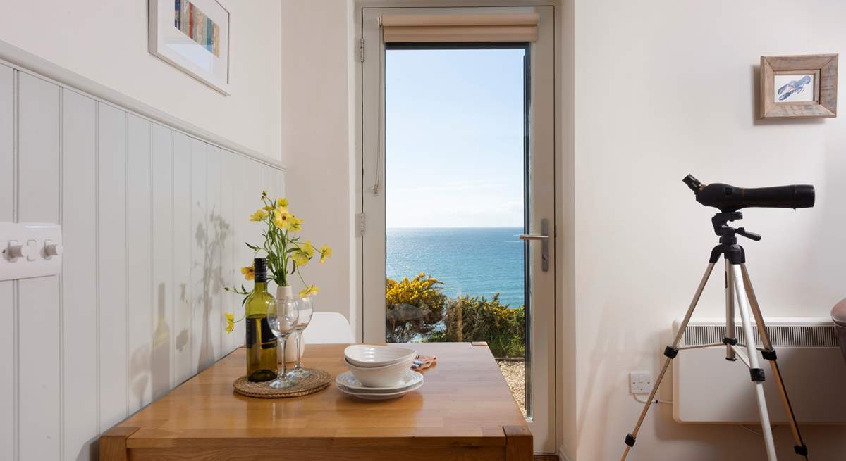 Will you spot any dolphins or porpoises?
