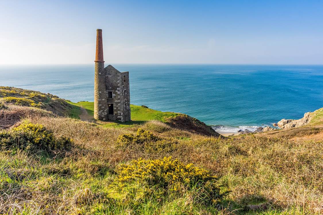 The Rinsey coast.
