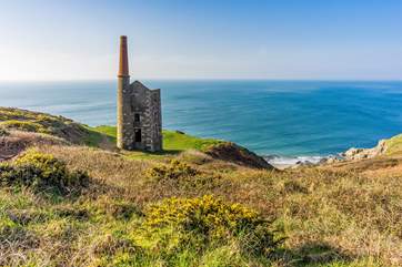 The Rinsey coast.