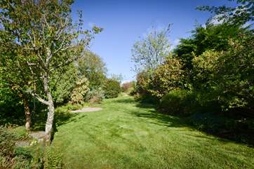 Your garden.