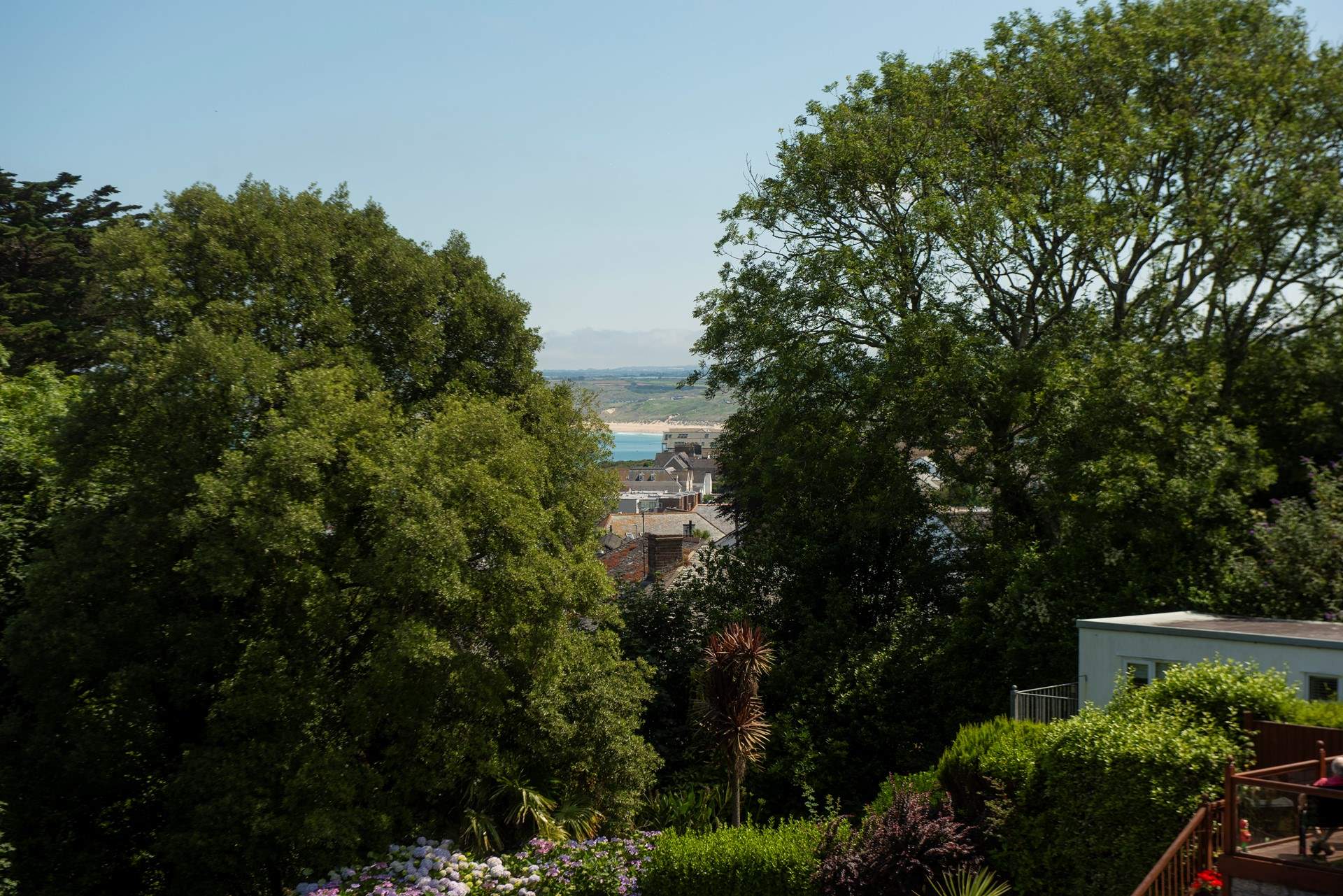 Take a peak at the golden stretch of sand through the trees.