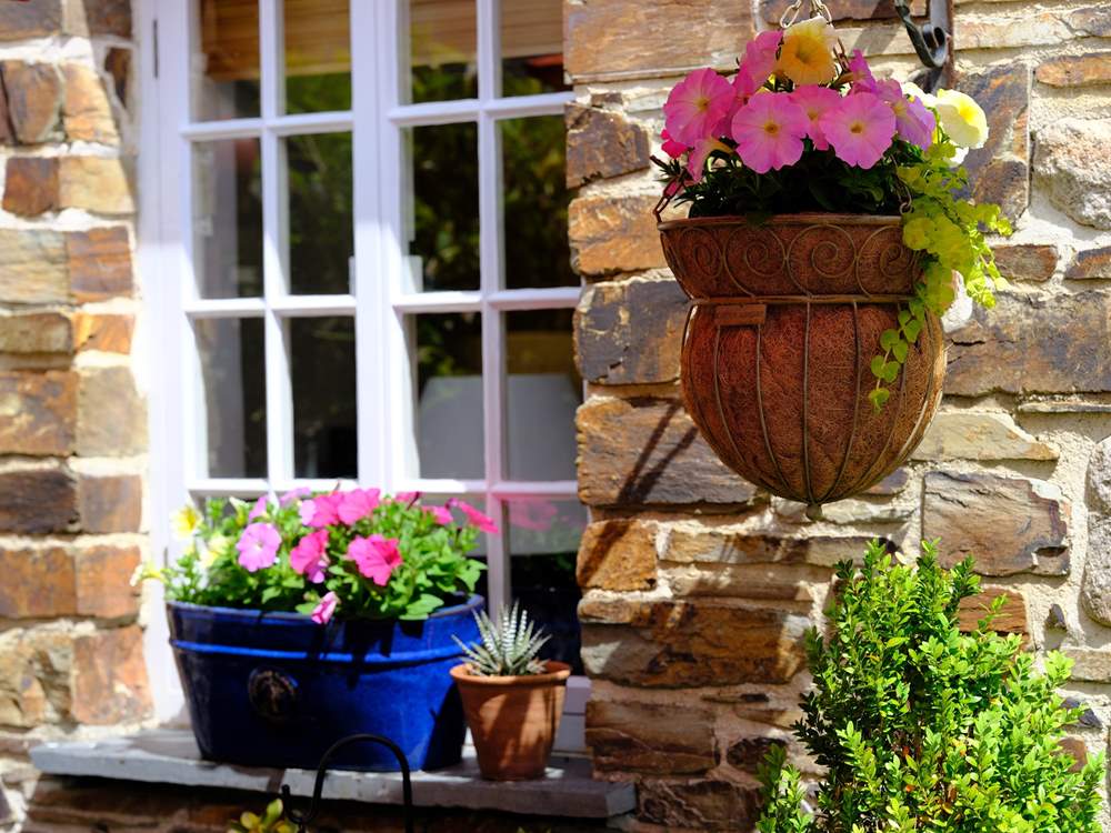 There are lots of pretty planted pots and window boxes.