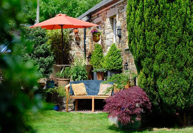 Looking from the lawn up to the top terrace.