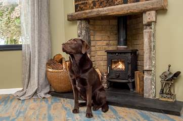 Your four-legged family member is also very welcome at Carne Haven.
