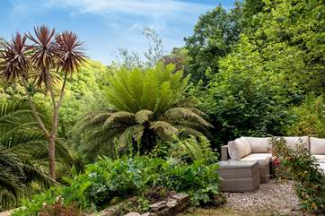 Sink into the sofas in your own little oasis; surrounded by sub-tropical plants.