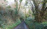 The leafy lane leading down to Carne Haven is both unmade and uneven so please take care.   - Thumbnail Image