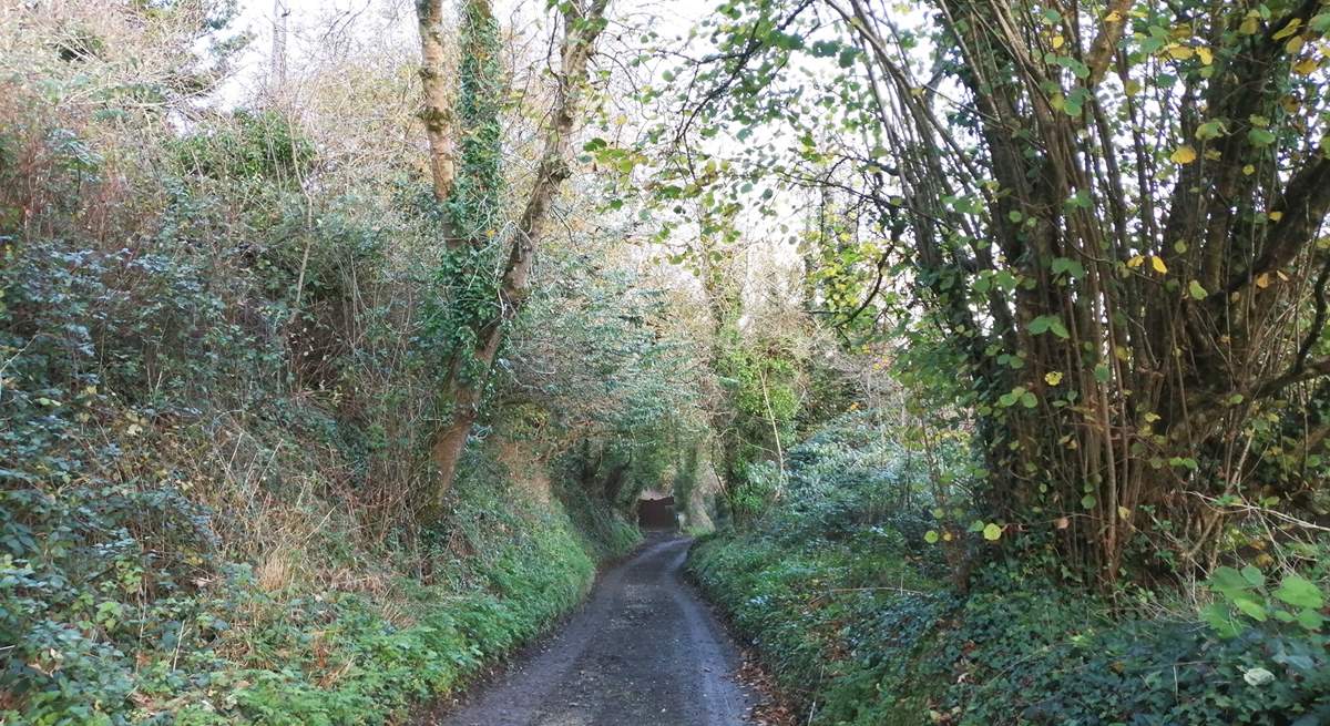 The leafy lane leading down to Carne Haven is both unmade and uneven so please take care.  