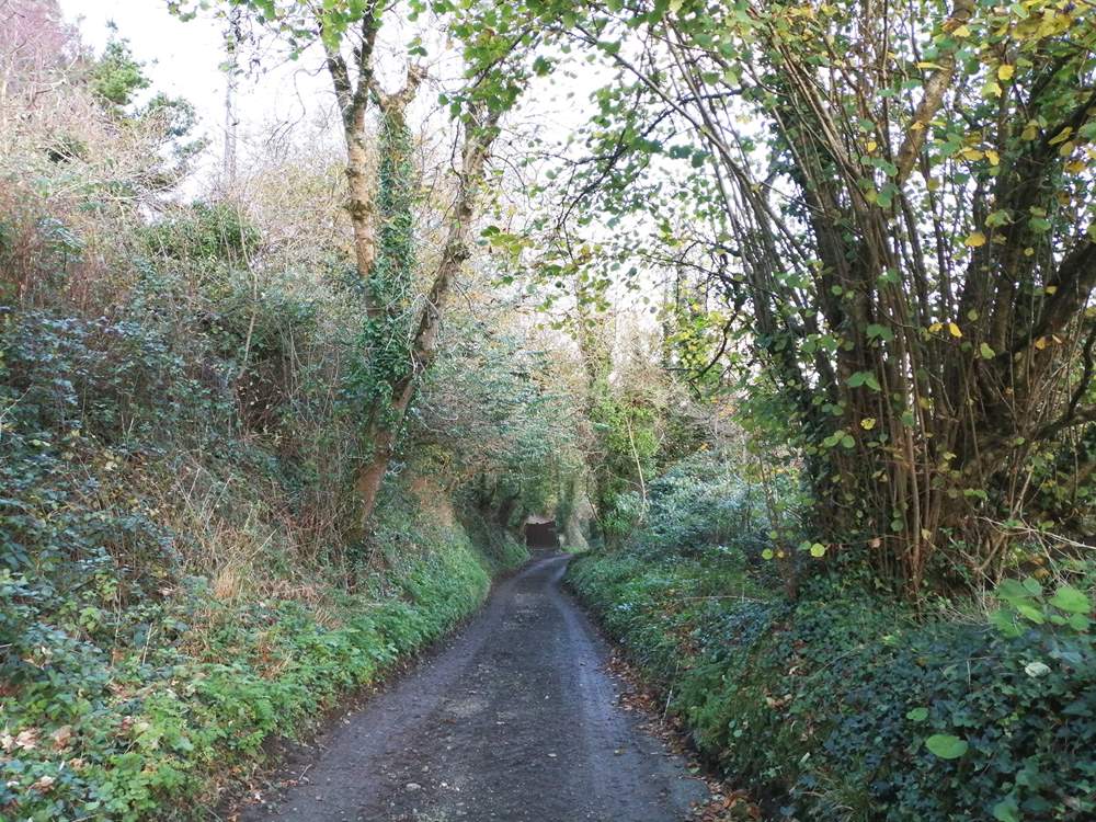 The leafy lane leading down to Carne Haven is both unmade and uneven so please take care.