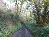 The leafy lane leading down to Carne Haven is both unmade and uneven so please take care.