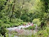 The area has some wonderful walks waiting to be discovered.