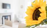 Lovely sunflower. - Thumbnail Image