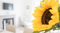 A burst of colour - what a lovely sunflower.