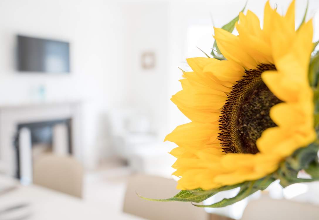 Lovely sunflower.