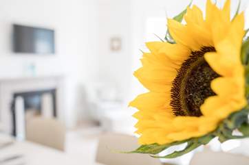 Lovely sunflower.