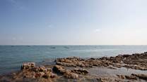 Overlooking the Solent, Seaview has rockpools galore for crabbing.