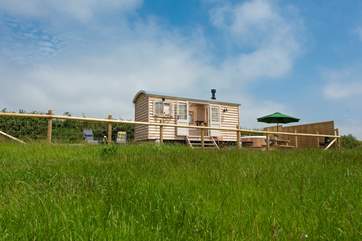 The hut sits in a fully enclosed and private space.