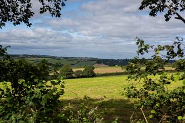 What a view from the garden.