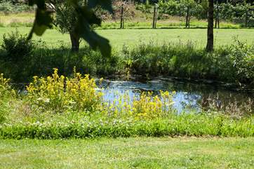 There is a calm and natural pool located at the bottom of the owners' garden, however they are very happy for you to enjoy it too!