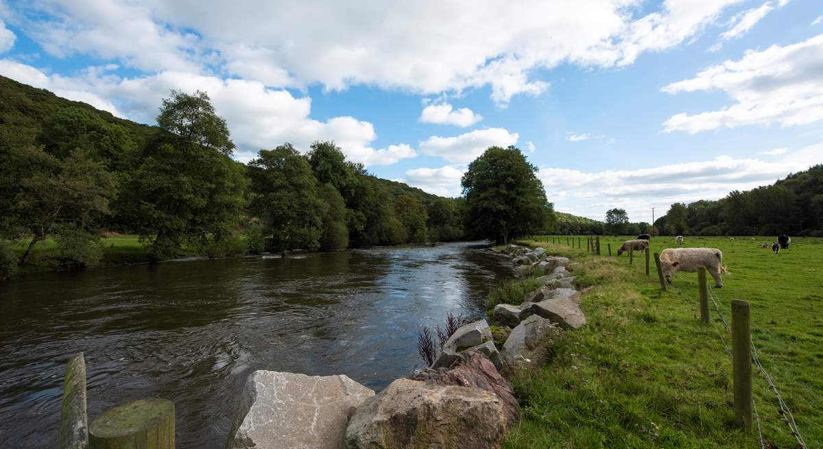 The friendly owners are happy to advise where the best riverside spots are for the chance to see an otter or a kingfisher. 