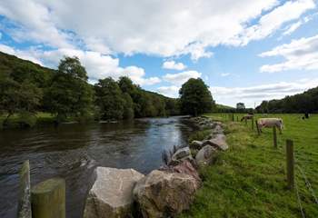 The friendly owners are happy to advise where the best riverside spots are for the chance to see an otter or a kingfisher. 