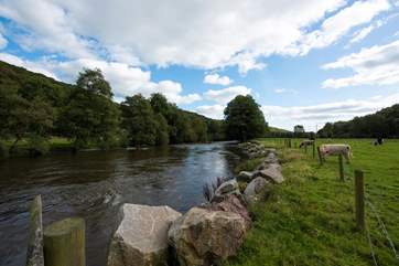 The friendly owners are happy to advise where the best riverside spots are for the chance to see an otter or a kingfisher.