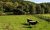 This traditional smallholding has earned conservation awards from Natural England and offers a wonderful opportunity to feel part of a sustainable and environmentally friendly way of living.  - Thumbnail Image