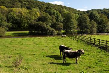 This traditional smallholding has earned conservation awards from Natural England and offers a wonderful opportunity to feel part of a sustainable and environmentally friendly way of living.