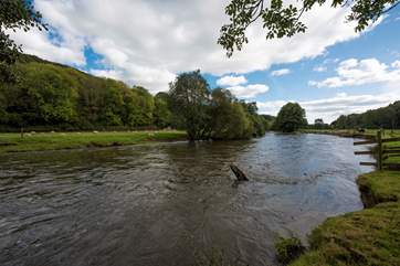 The River Exe runs through the farmland.