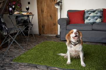 Your four-legged friends are more than welcome to join you.