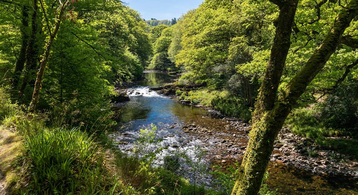 The river Dart is beautiful.