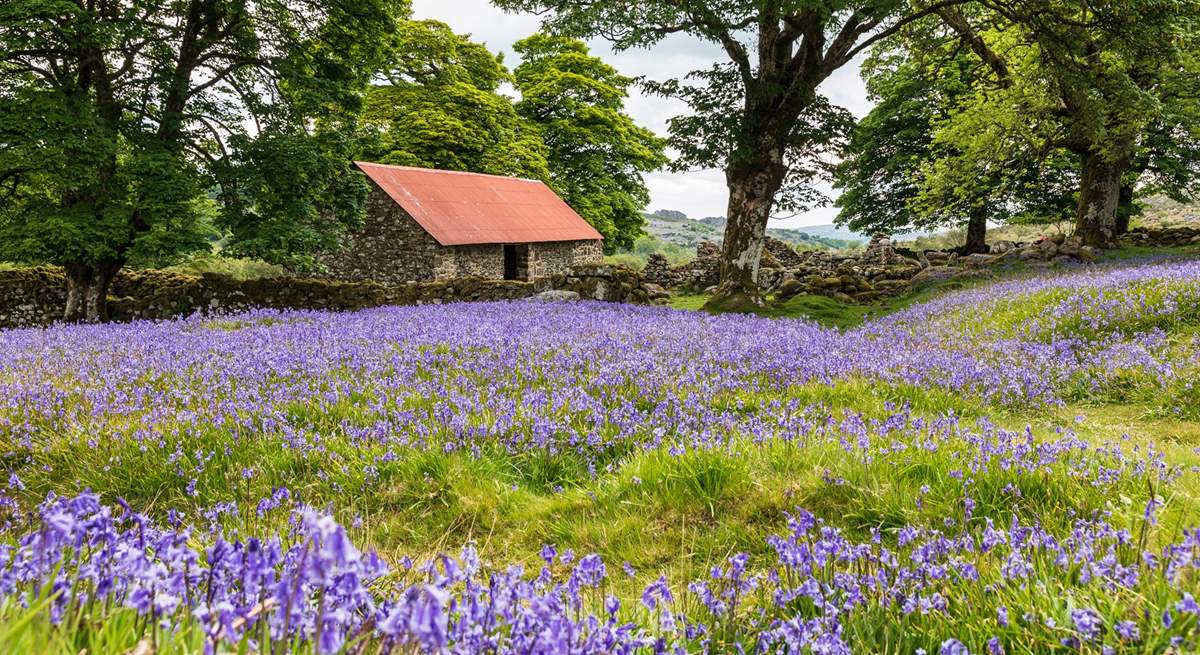 Dartmoor is waiting to be explored either by bike or on foot.