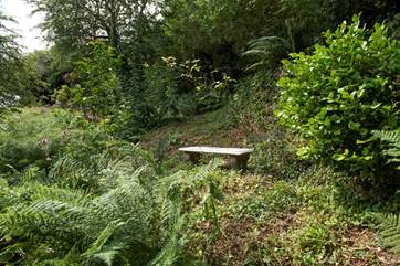 You may come across this bench to sit for a while - it's a memorial for a long-standing visitor from the USA.