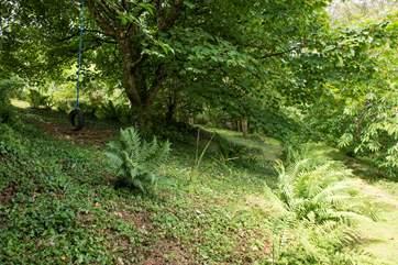 What surprises will you discover? This shows a tyre swing hidden in the garden before you descend the valley walk - there are so many more to be found, such as standing stones and ponds.