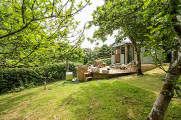 Home to an ancient species of Cornish apple trees (great for cider, but not for eating unfortunately!).