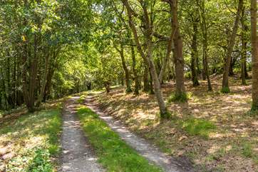The beautiful track to Curlew (not suitable for low-slung vehicles).