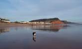 Sidmouth is one of the many delightful coastal towns in east Devon. This pebbled beach has plenty of sand at low tide. - Thumbnail Image