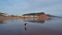 Sidmouth is one of the many delightful coastal towns in east Devon. This pebbled beach has plenty of sand at low tide.