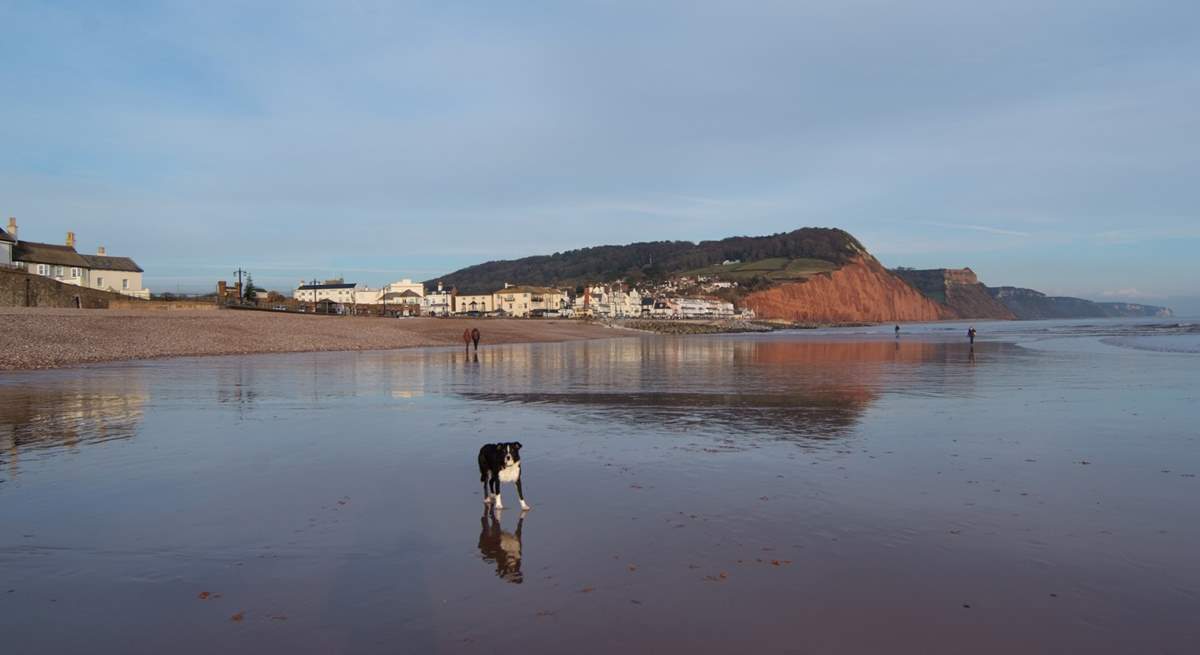 Sidmouth is one of the many delightful coastal towns in east Devon. This pebbled beach has plenty of sand at low tide.