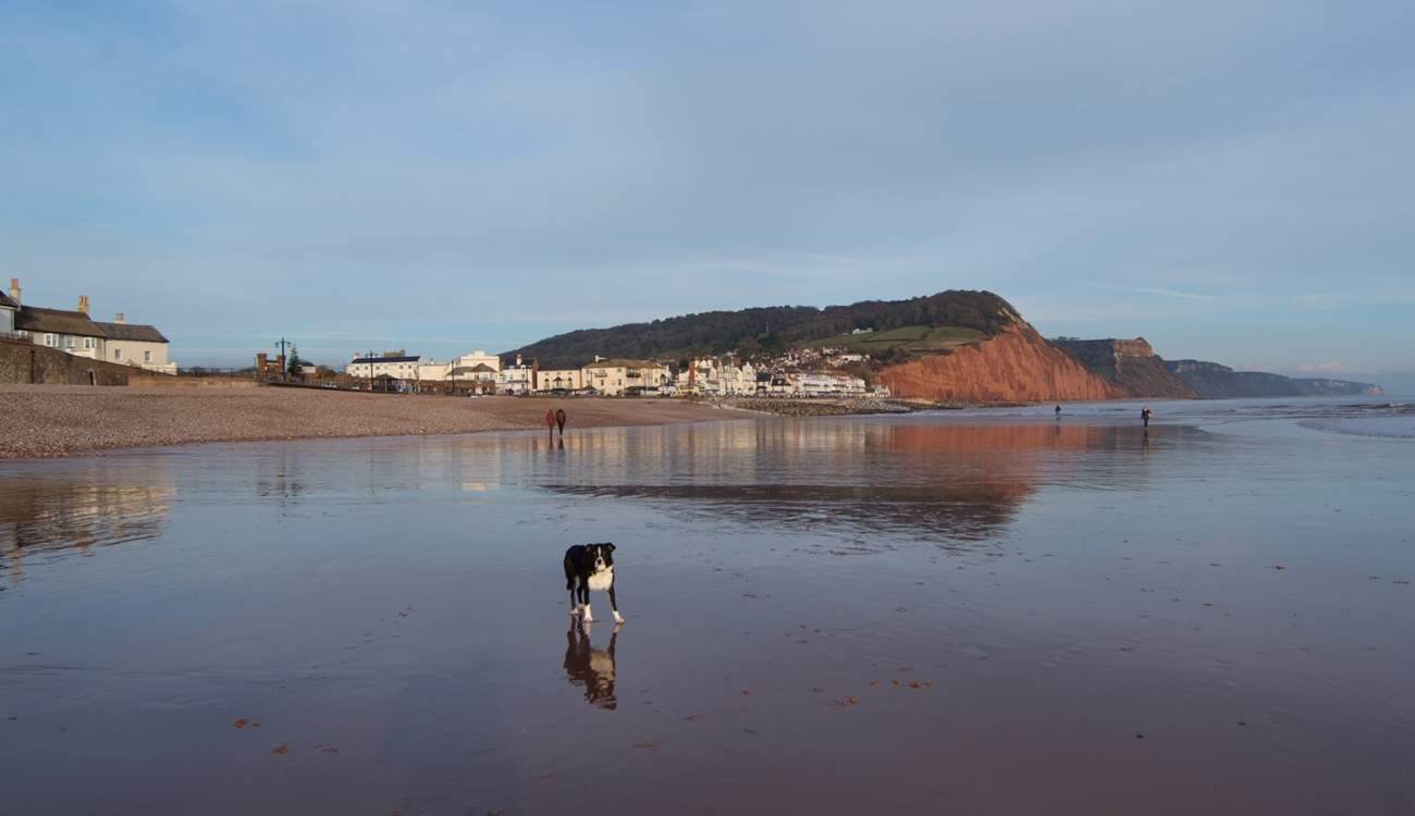 Sidmouth is one of the many delightful coastal towns in east Devon. This pebbled beach has plenty of sand at low tide.