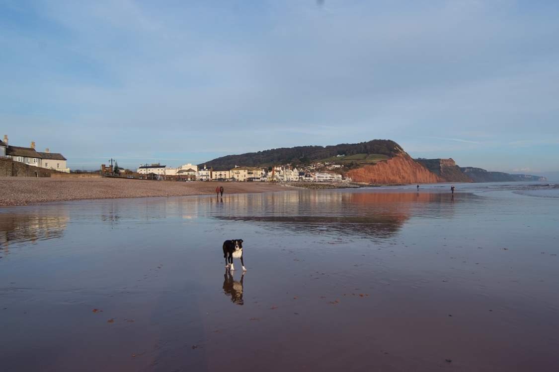 Sidmouth is one of the many delightful coastal towns in east Devon. This pebbled beach has plenty of sand at low tide.
