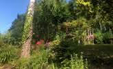 Another view of the stunningly planted gardens for The Coach House. Stone steps lead from one level to another - a delight to explore. - Thumbnail Image