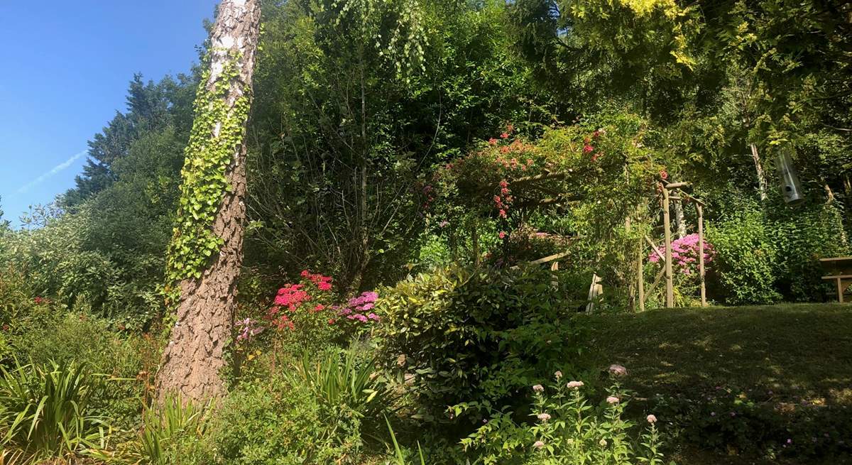 Another view of the stunningly planted gardens for The Coach House. Stone steps lead from one level to another - a delight to explore.