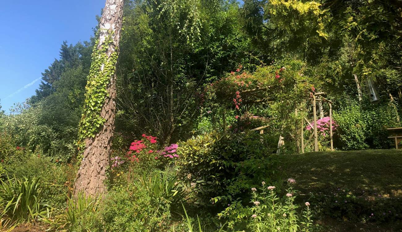 Another view of the stunningly planted gardens for The Coach House. Stone steps lead from one level to another - a delight to explore.