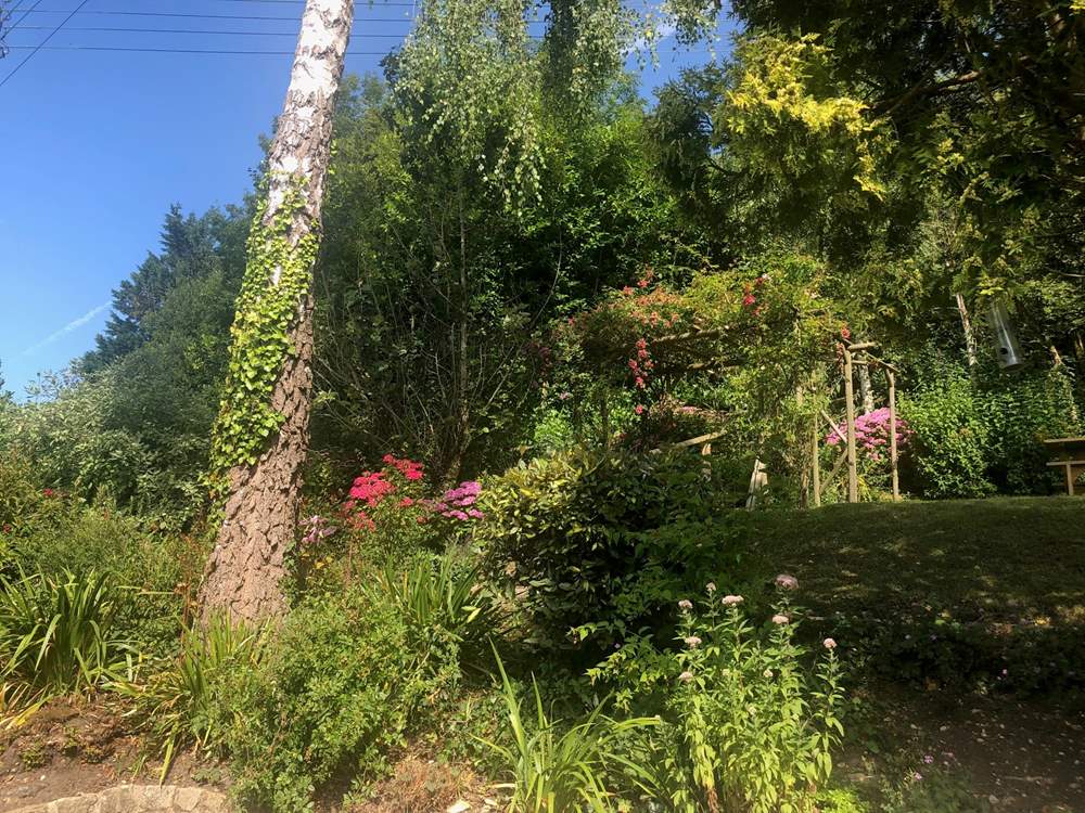 Another view of the stunningly planted gardens for The Coach House. Stone steps lead from one level to another - a delight to explore.